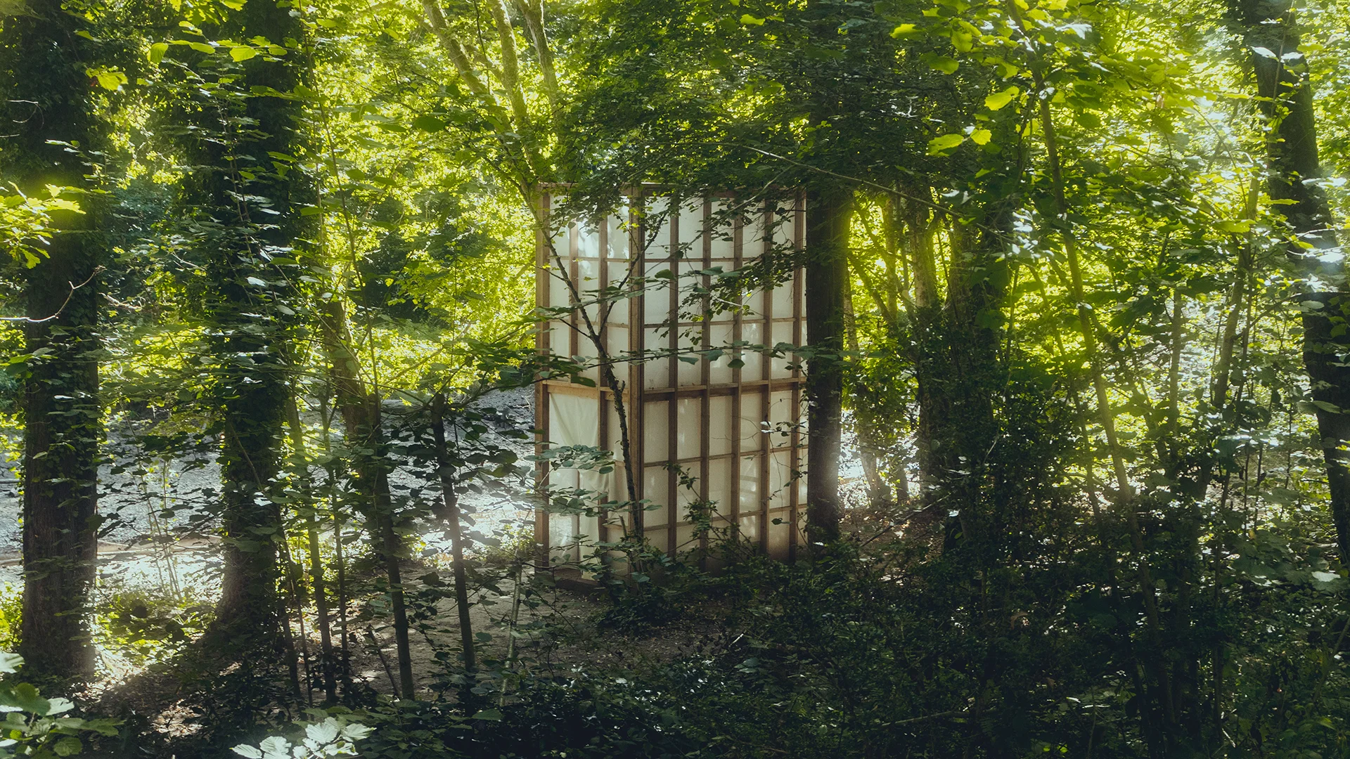 Vue de trois quarts à travers les arbres depuis la descente, intégration naturelle du bois et du tissu, verticalité