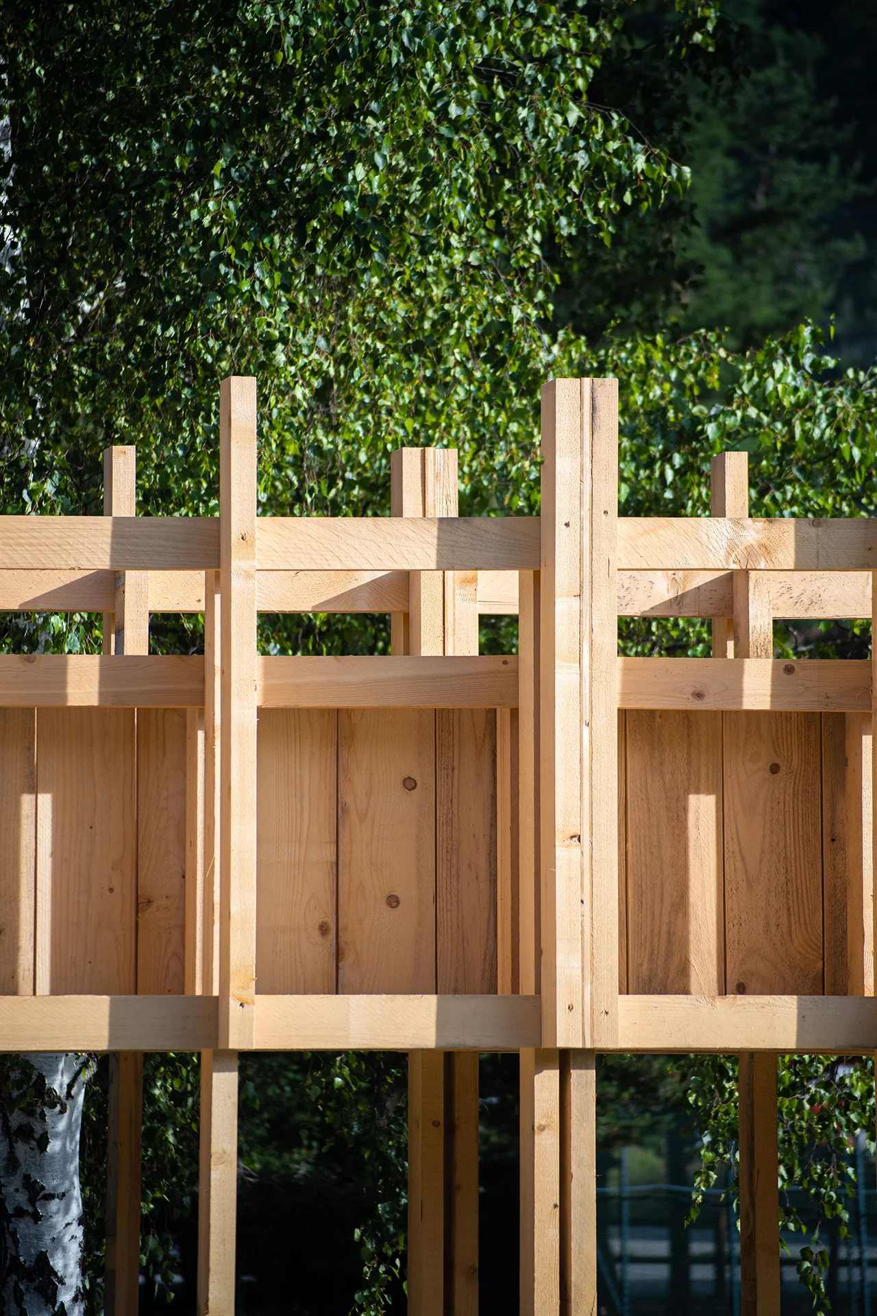 Détail de la partie haute, radicalité des portiques et de la structure en bois reprenant verticalité de la végétation