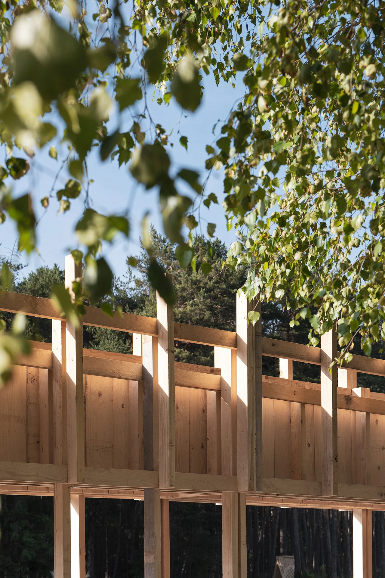 Détail de la partie haute, radicalité des portiques et de la structure en bois reprenant verticalité de la végétation