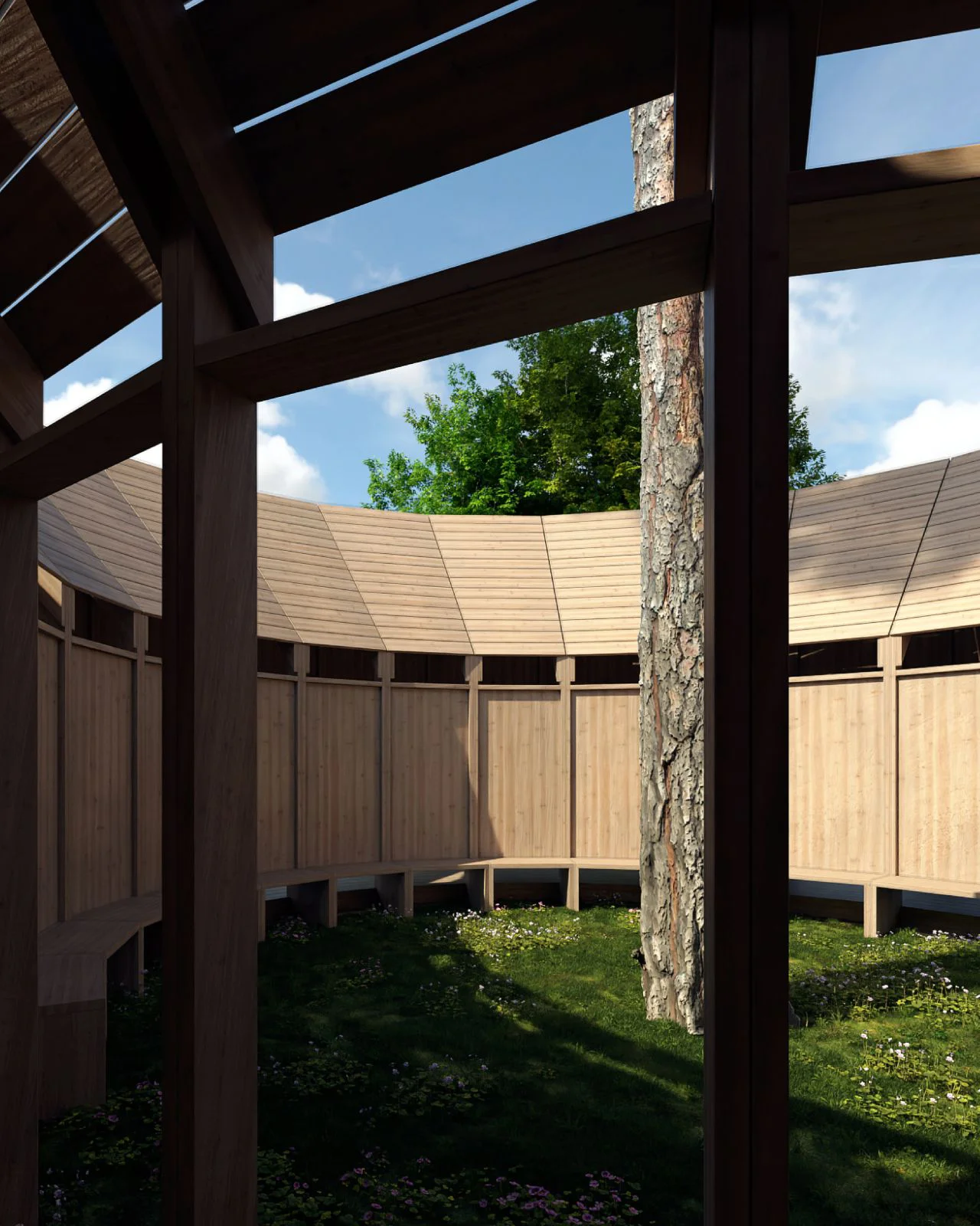 Vue de l'intérieur de l'arène en bois, proximité de l'arbre, toiture inversée (impluvium) et bancs pour contemplation